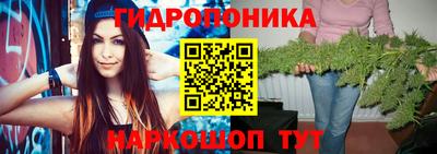 дмт Ставрополь