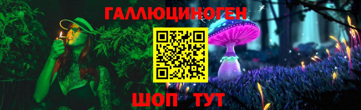 Мурино  Галлюциногенные грибы Cubensis  Вход с VPN 